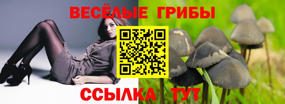 Галлюциногенные грибы GOLDEN TEACHER Луховицы